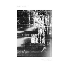 Stefan Gubatz / FLIESTER DUBS