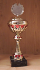 1 Wanderpokal 34,5cm mit Emblem und Gravur #2293c (Pokal Sport Freizeit Sieger)