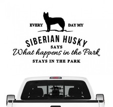 Siberian husky vintage - siberian,