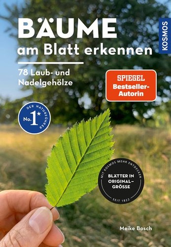 Bäume blatt erkennen - erkennen, 78