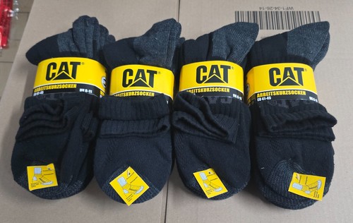 Paar cat caterpillar - cat,