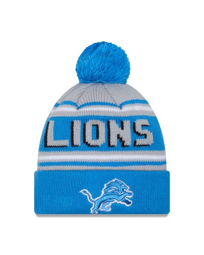 Detroit lions wordmark pom - detroit,
