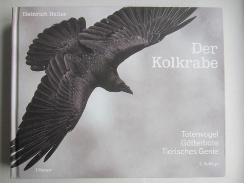 Der kolkrabe totenvogel - -,