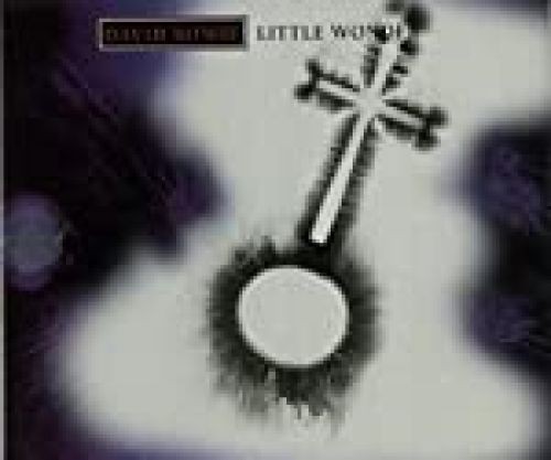 Little wonder bowiedavid - little,