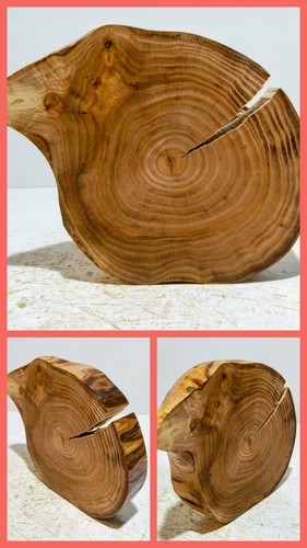 Baumscheibe holzscheibe - baumscheibe,,