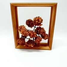 32.Bernsteinbaum, Glücksbaum