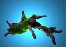 Aquarium Deko bemooste ? WURZEL ? Holz Höhle Ast Terrarium Zubehör .