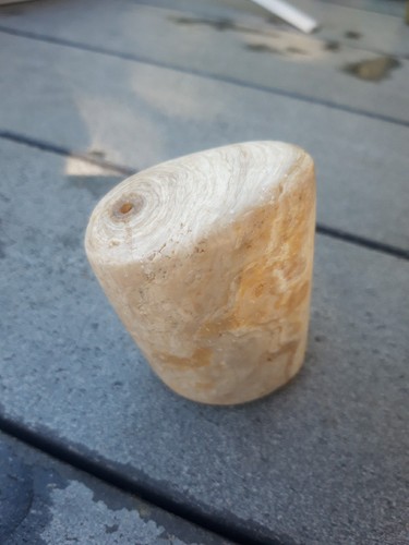 Versteinertes holz amulett - versteinertes,