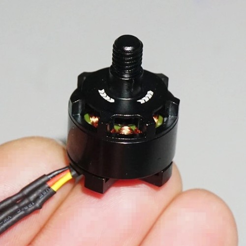 1306 3000kv ccw - 3000kv,