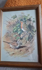 Bilder mit Vogelmotiven In