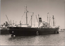 AK/Postkarte : unbekannter holländischer Frachter Frachtschiff