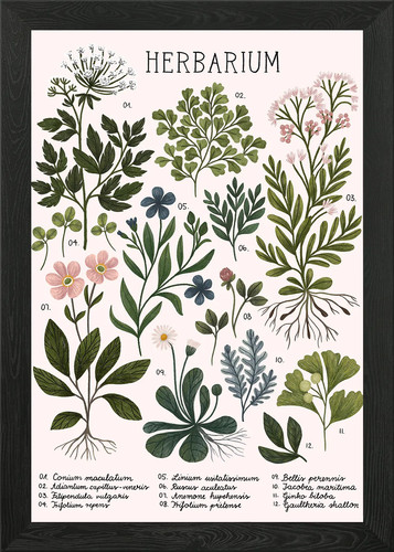 Herbarium hell gerahmtes