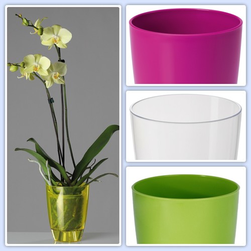 Orchideentopf rund übertopf - orchideentopf,