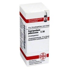 DHU Cypripedium pubescens C 30