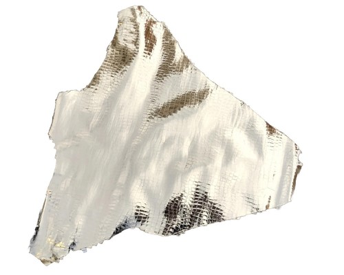 Hellgoldene krokodil - hellgoldene,