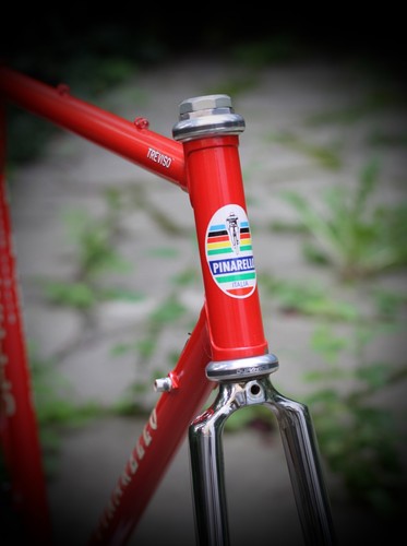 Pinarello treviso columbus - , sl