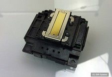 Epson FA04010 Druckkopf, Print