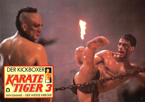 Karate tiger der kickboxer - tiger, 3