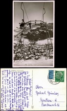 Ansichtskarte Todtnau Skilift