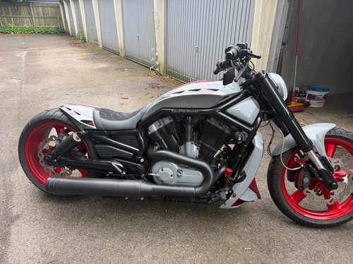 Harley davidson rod muscle - v-rod,