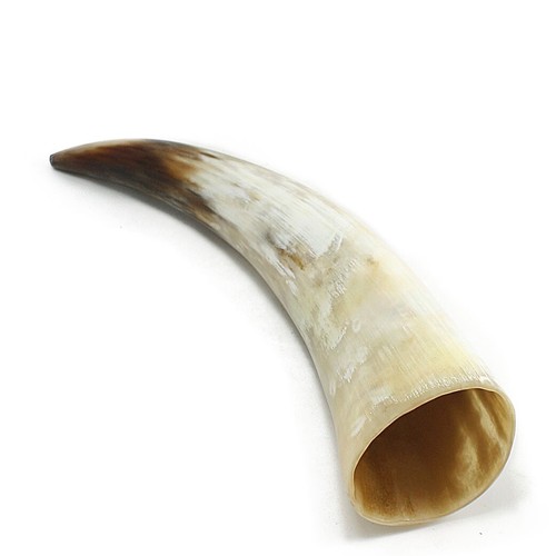 Echtes ochsenhorn wikinger - echtes,
