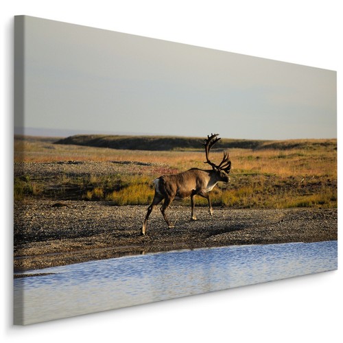 Canvas leinwand bilder - leinwand,