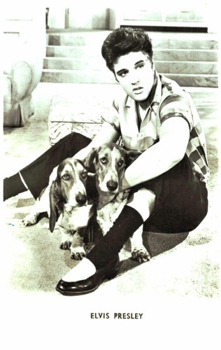Elvis presley original - ,