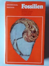 Fossilien von krumbiegel - von, dr.