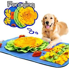 Schnüffelteppich Hunde Trainingselemente Intelligenzspielzeug Den Geruchsinn UK