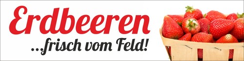 Pvc werbebanner banner plane - pvc,