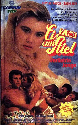 Eis stiel verliebte - stiel ,