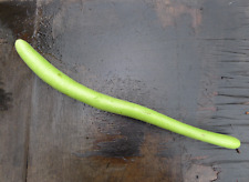 Flaschenkürbis, Kalebasse ‚Serpente di Sicilia‘ Lagenaria siceraria -ökol. Anbau