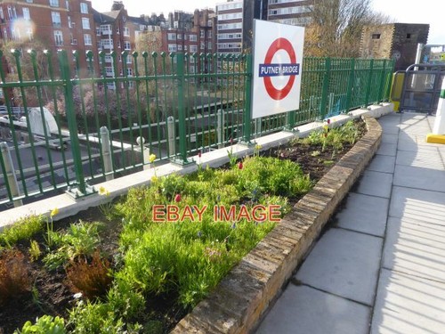 Foto blumenbeet bahnhof - foto,