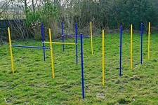 AGILITY-ÜBUNGS-SET in blau /