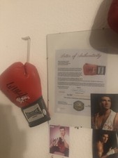 Boxhandschuh 🥊 Wladimir