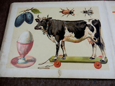 Sehr Altes Bilderbuch , Verlag