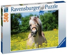 500 teile ravensburger puzzle - 500,