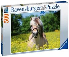 500 Teile Ravensburger Puzzle
