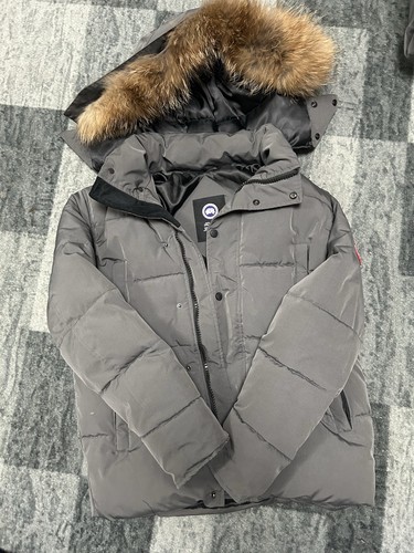 Canada goose arctic - canada,