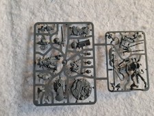 Warhammer 40k Bledeguard