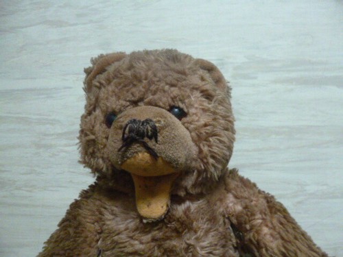 Alter hermann teddy - bär, 40
