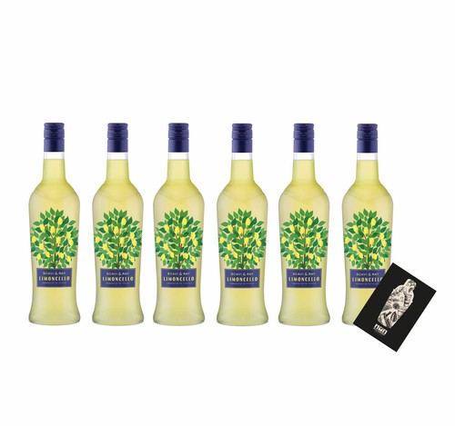 Scavi ray 6er set - scavi, &
