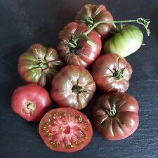 Purple Calabash Rar Tomate Fleischtomaten Tomatensamen Samen Saatgut 15.25