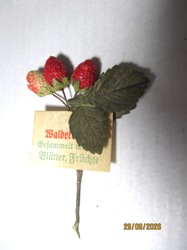 Whw abzeichen straßensammlung - whw,
