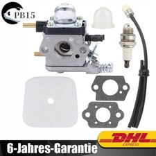 Vergaser Kraftstoffleitung