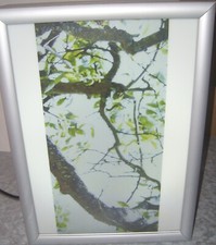 Werbung Werbe Träger