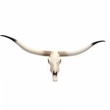 Deko Kuhschädel MCW-D32, Stierkopf Tierkopf Longhorn, Polyresin 103x43x11cm