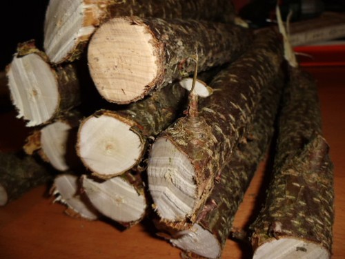 Holz,Haselnuss,,Aststücke,Bas