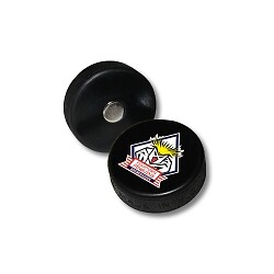 Fischtown pinguins minipuck - pinguins,