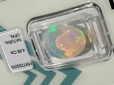 Opal 4,66 Karat, Bislerata und